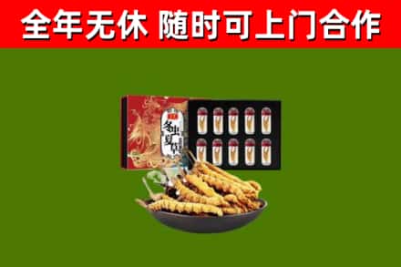 集贤回收冬虫夏草价格